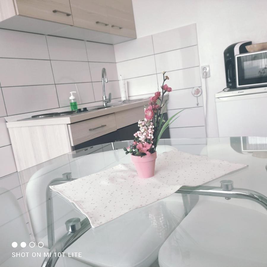 Studio Apartman Valentina Velika Mlaka Экстерьер фото